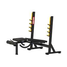 Gym Training Bench